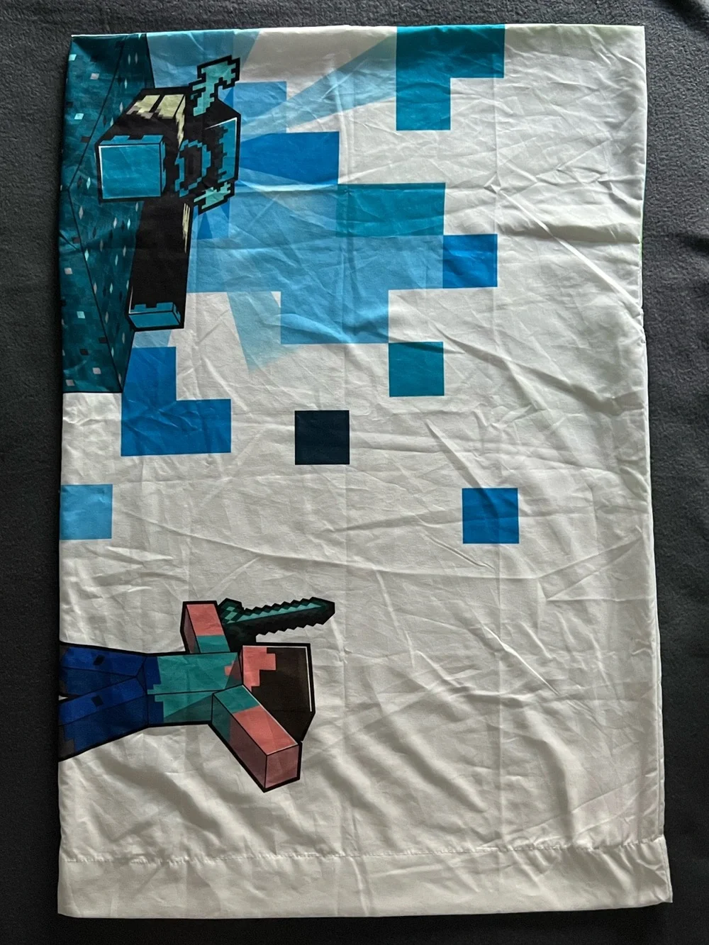Minecraft nintendo video